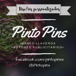 PintoPin